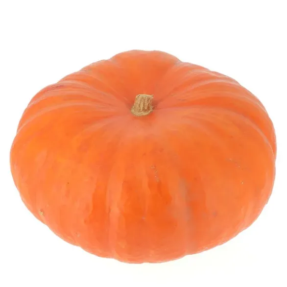 Courge Potiron Rouge d’Etampes Bio