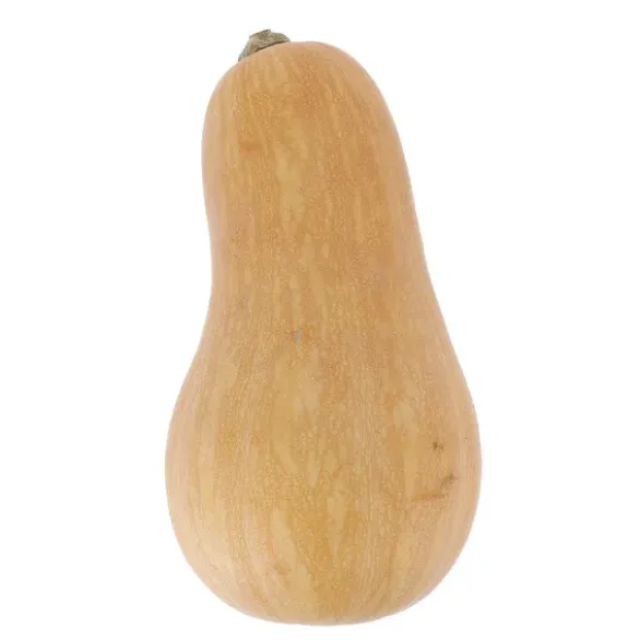 Courge Sucrine du Berry Bio