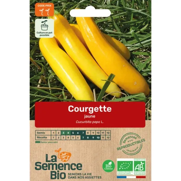 Courgette jaunesemence 2,2g