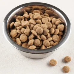 Croquette pour chien - volaille riz légume vrac