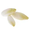 Endive Bio