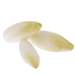 Endive Bio