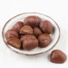 Escargot chocolat au lait Bio