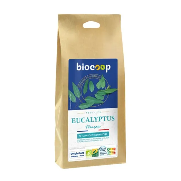 Eucalyptus feuille Bio Equitable en France 40g