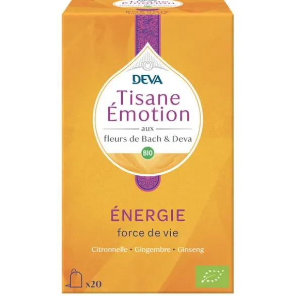FDB Energie tisane infusette (20) 32g