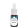 FDB millepertuis compte-goutte 15ml