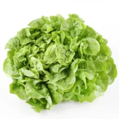 Feuille de Chêne Blonde (pièce) Bio