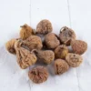 Figue Calabacita Bio