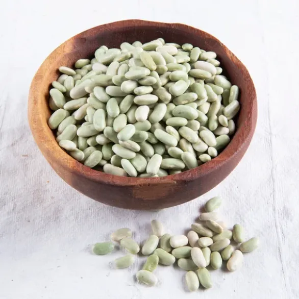 Flageolets verts Bio