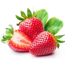 Fraise Ronde 500 gr Bio