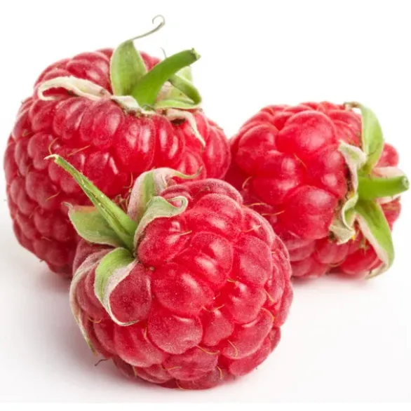 Framboise Barquette 125 gr Bio