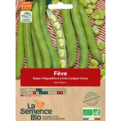 Fève Super d'Aguadulce à très Longue Cosse semence 70g