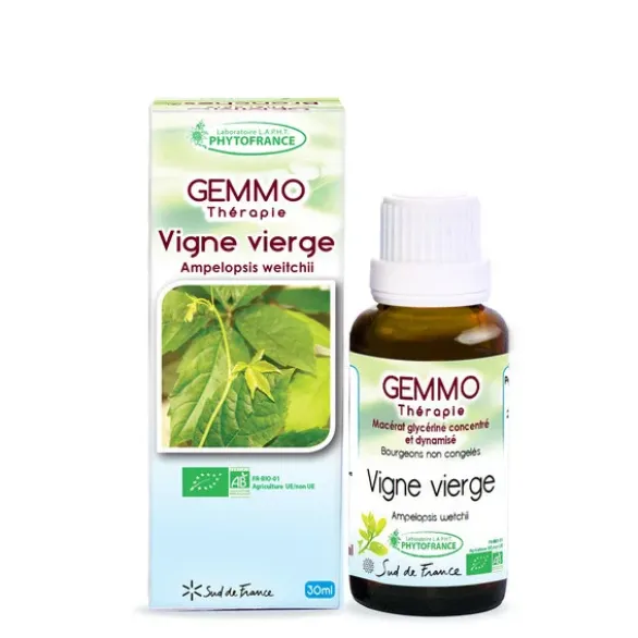 Gemmothérapie Vigne vierge 30ml