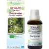 Genévrier (Juniperus communis)