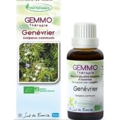 Genévrier (Juniperus communis)