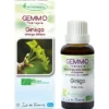 Ginkgo (Ginkgo biloba)