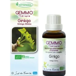 Ginkgo (Ginkgo biloba)