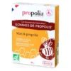 Gomme propolis miel 45g