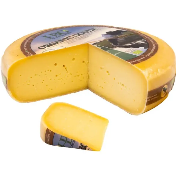 Gouda vieux Lpast 12 mois 35% MG