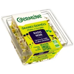 Graine germée radis noir 40g