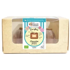Gâteau glacé chocolat poire SG 2x120g