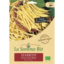 Haricot beurre nain Major semence 70g