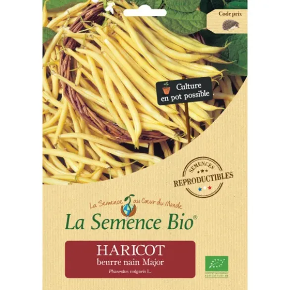 Haricot beurre nain Major semence 70g