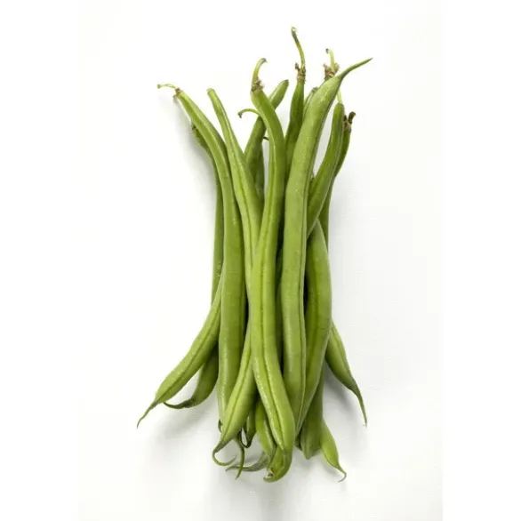 Haricot Vert Bio