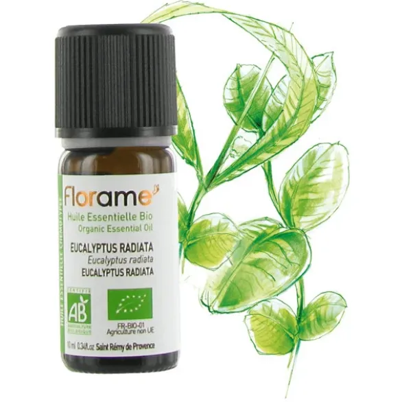 HE eucalyptus radiata 10ml