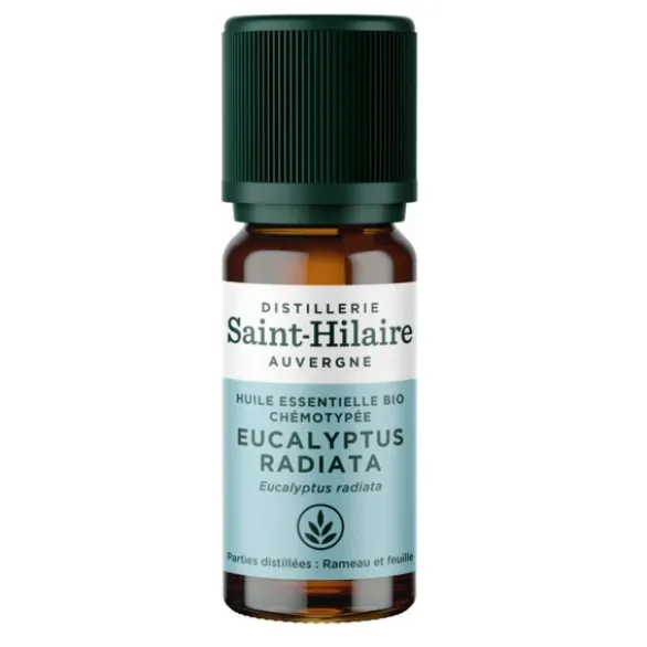 HE Eucalyptus radié 10ml