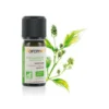 HE ravintsara 10ml