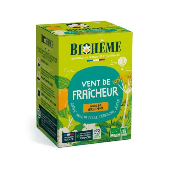 Infusion vent de fraîcheur 20x1,3g