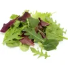 Jeune Pousse / Mesclun Bio
