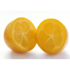 Kumquat Bio