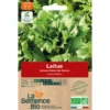 Laitue batavia Reine Glace semence 0,55g