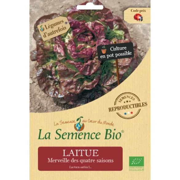 Laitue quatre saisonssemence 0,65g