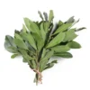 Laurier Frais botte Bio