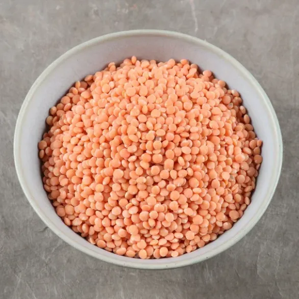 Lentilles corail France Bio