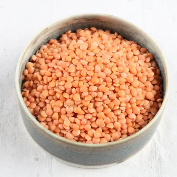 Lentilles corail France Bio