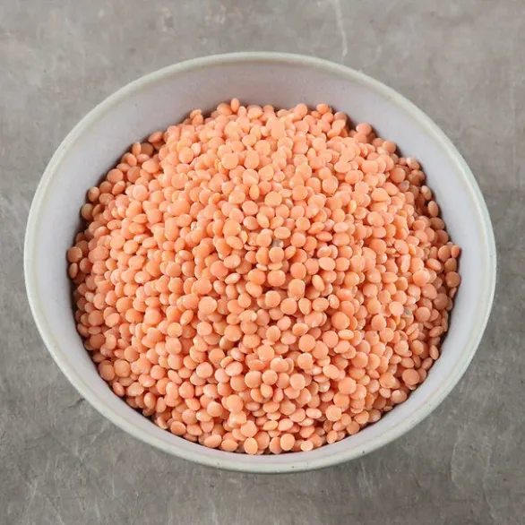 Lentilles corail France Bio
