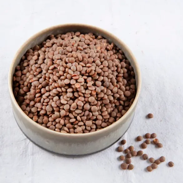 Lentilles de la reine Bio