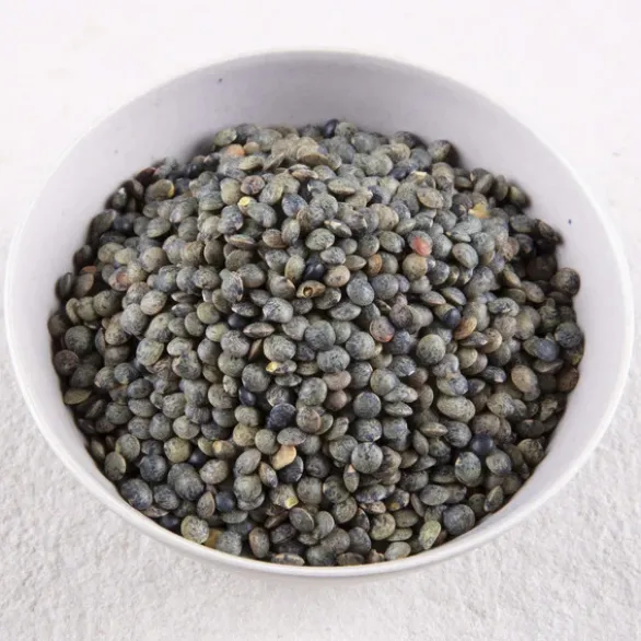 Lentilles vertes Bio