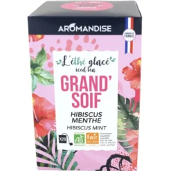 L'Éthé Glacé Grand' Soif hibiscus menthe 20x2g