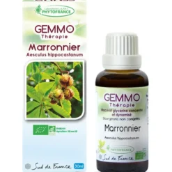 Marronnier (Aesculus hippocastanum)