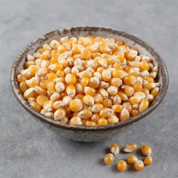 Maïs pop corn France Bio