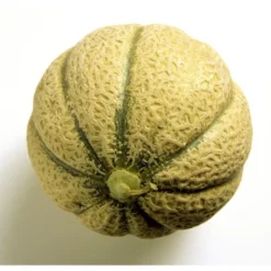 Melon Brodé Bio