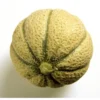 Melon Brodé (pièce) Bio