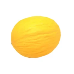 Melon Canari Bio