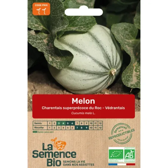 Melon Charentais superpré semence 0,55g
