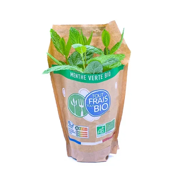 Menthe Pot Bio